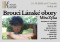zyka zyka